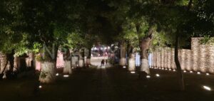 Photo_1680146405428