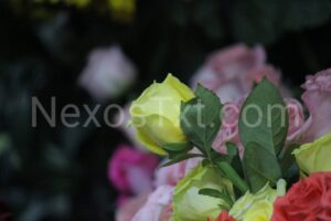 Photo_1683759605221