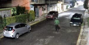 IMG-20230610-WA0081