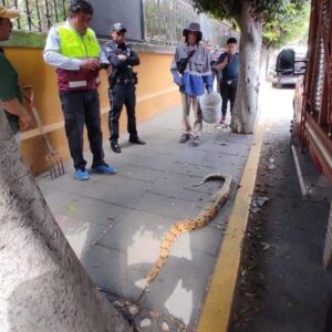 IMG-20230625-WA0032