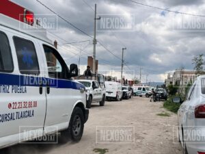 Photo_1689549768596