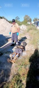 IMG-20230927-WA0024
