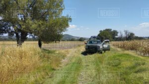 IMG-20231019-WA0125
