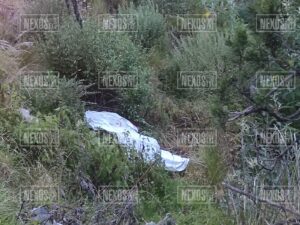 Photo_1696306232944