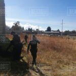Photo_1701033349192