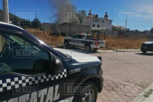 Photo_1701033354610