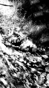 IMG-20231228-WA0051