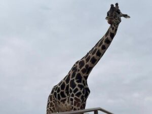 IMG-20240112-WA0089