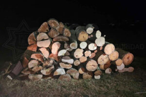 MATERIAL FORESTAL