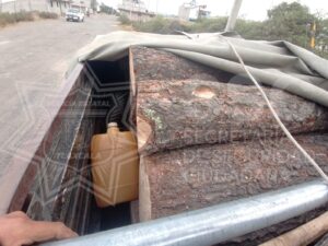 IMG-20240216-WA0055