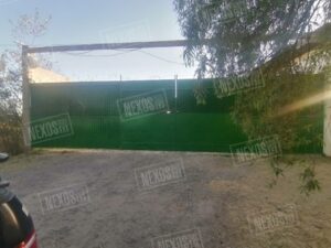 Photo_1711039827220