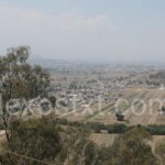 Photo_1711062344521
