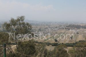 Photo_1711062344521