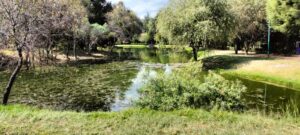 IMG-20240403-WA0033