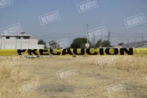 Photo_1712853414050