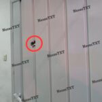 IMG-20240502-WA0093
