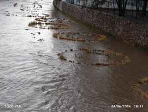 IMG-20240624-WA0135