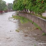 IMG-20240624-WA0138