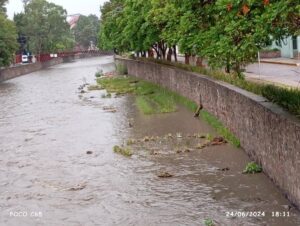 IMG-20240624-WA0138
