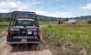 IMG-20240809-WA0004