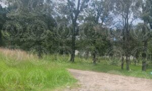 IMG-20240820-WA0118