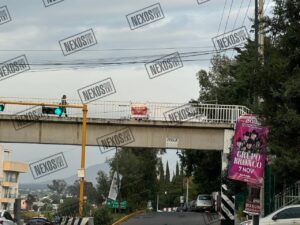 Photo_1732296204863