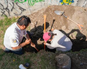 IMG-20250117-WA0045
