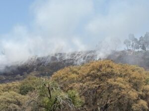IMG-20250318-WA0097