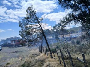 IMG-20250512-WA0089