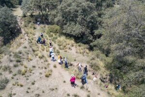 JORNADA DE LIMPIEZA 3