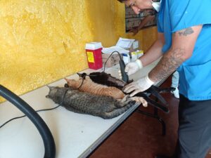 IMG-20250604-WA0163