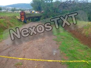 IMG-20250609-WA0140