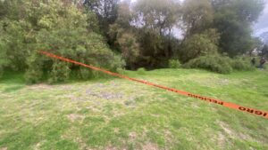 IMG-20250619-WA0046
