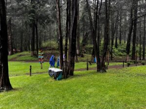 IMG-20250624-WA0012