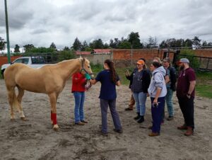 IMG-20250625-WA0057