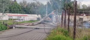 IMG-20250716-WA0118