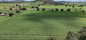 IMG-20250729-WA0129
