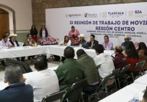 IMG-20250813-WA0005