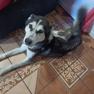IMG-20250922-WA0068