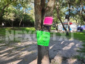 Photo_1761235132689