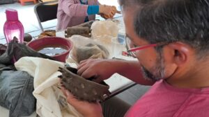 IMG-20260121-WA0194