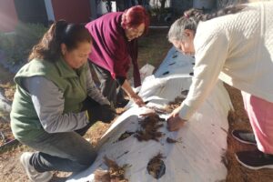 IMG-20260122-WA0098