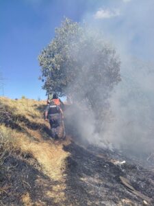 IMG-20260203-WA0181