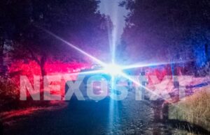 Photo_1771127587988