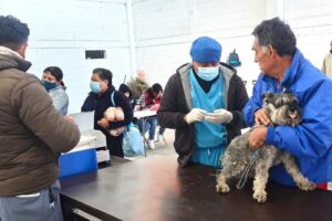 IMG-20260320-WA0279