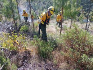 IMG-20260410-WA0131