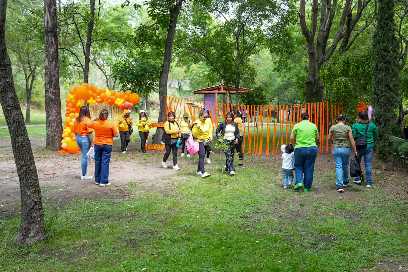 IMG-20260525-WA0352