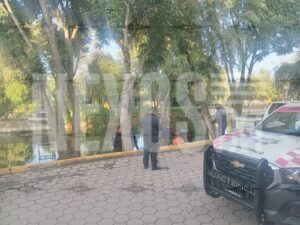 Photo_1782271646801