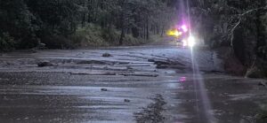IMG-20260707-WA0184