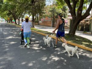 IMG-20260719-WA0151